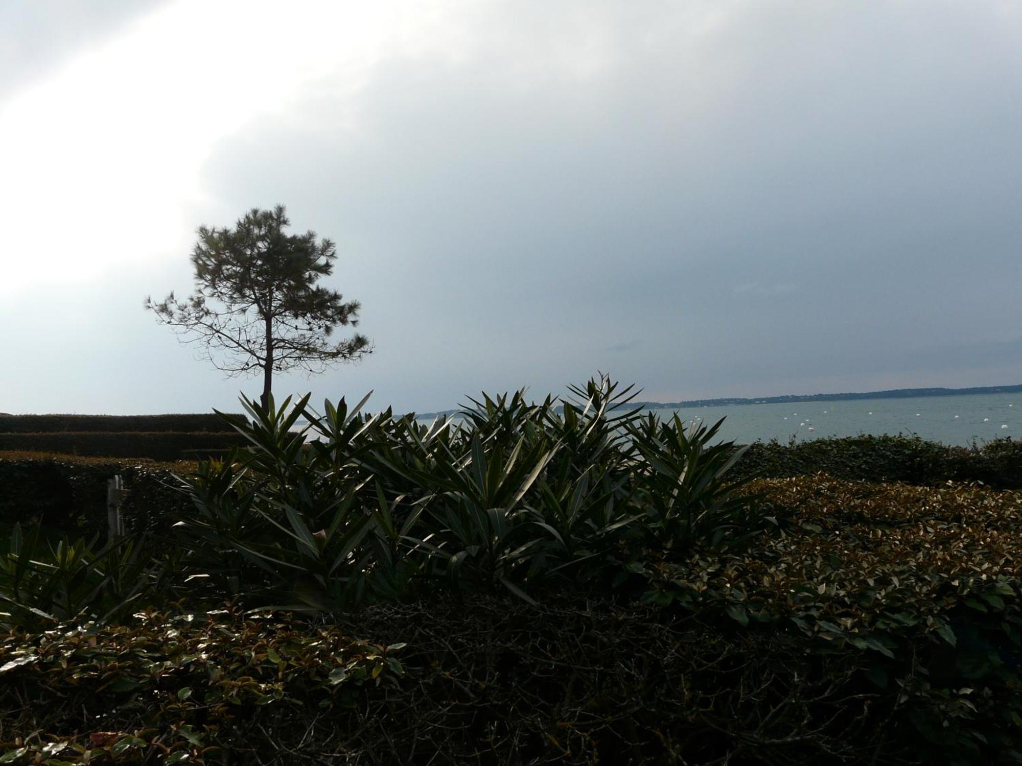 Arcachon Pereire bord de plage Eksteriør bilde